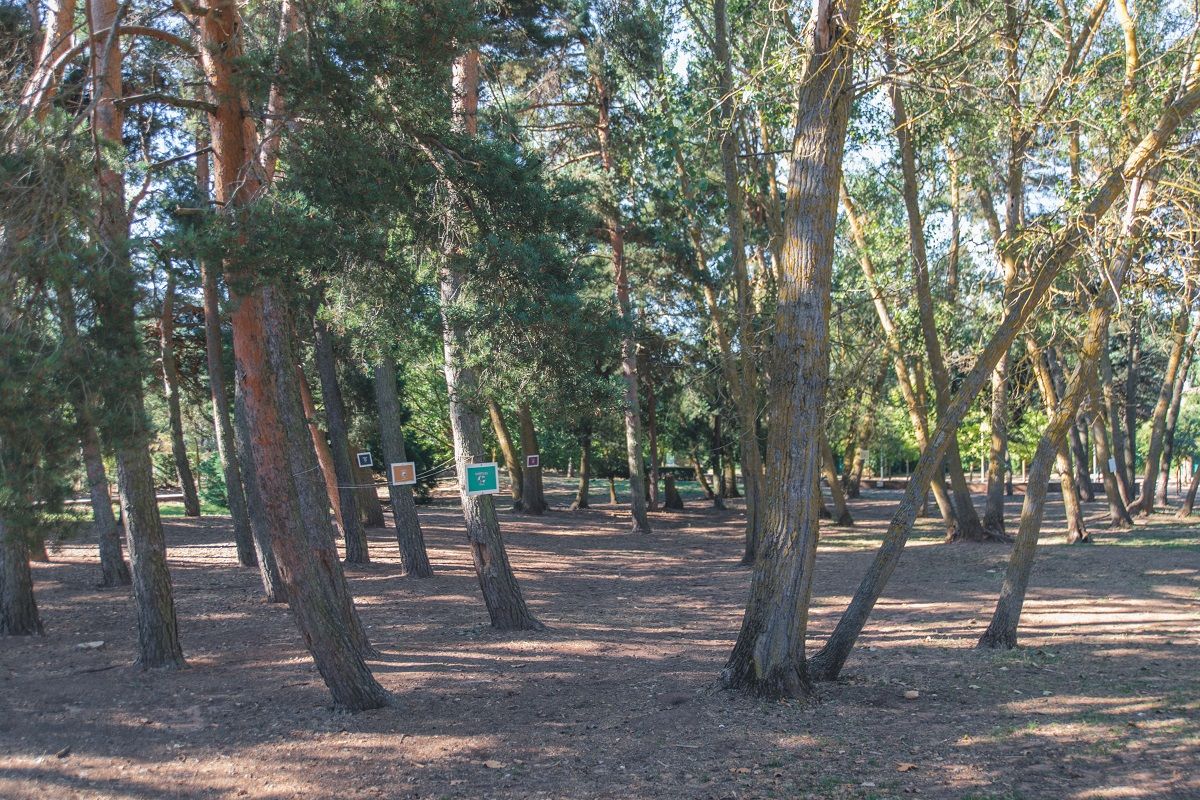 finca-prades-english-summer (7)