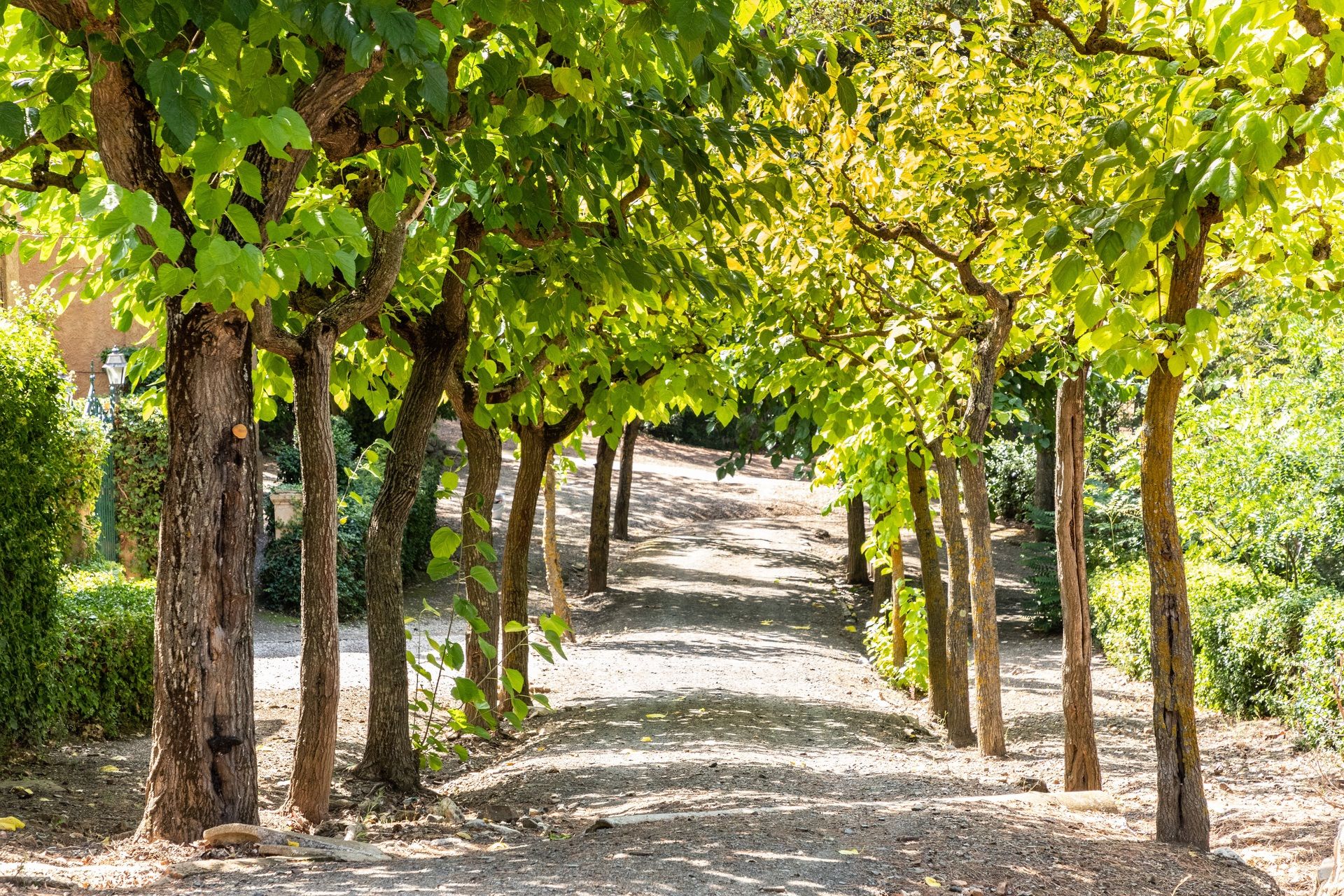 hotel-rural-villa-engracia-exterior-camino (2)